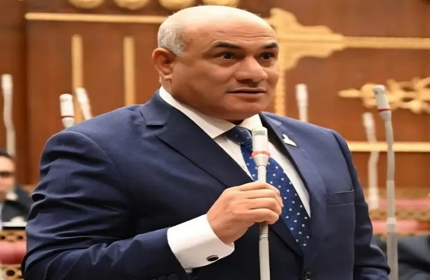 شعبان رأفت يطالب باستكمال رقمنة الخدمات المرتبطة بالاستثمار وربط الجهات المختلفة إلكترونيًا