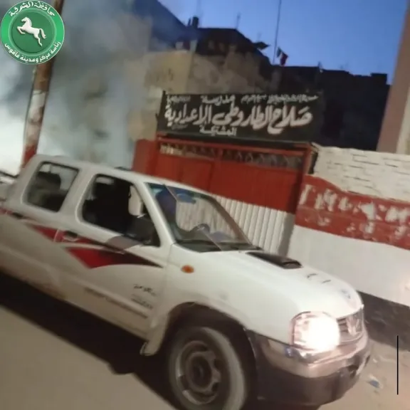 حملات يومية بلا انقطاع للترصد الحشري بمركز ومدينة فاقوس شرقية