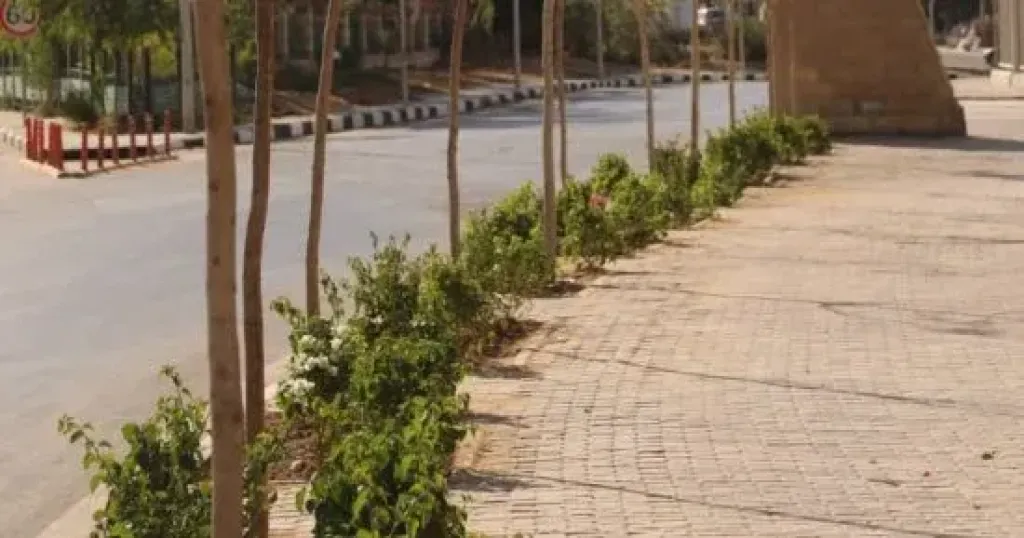 محافظ القاهرة: خطة متكاملة لـ ”تخضير العاصمة” لتحسين البيئة الحضرية