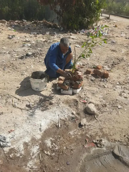 محافظ أسيوط: تشجير منطقة كوبري محمود علام بالبداري للحد من إلقاء المخلفات