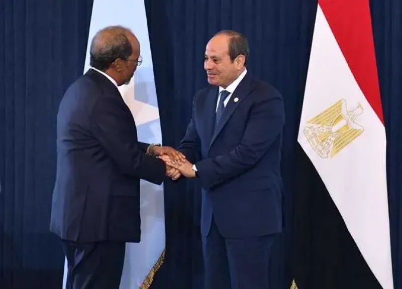 الرئيس السيسى ونظيره الصومالى يبحثان القضايا المرتبطة بأمن واستقرار القرن الأفريقى