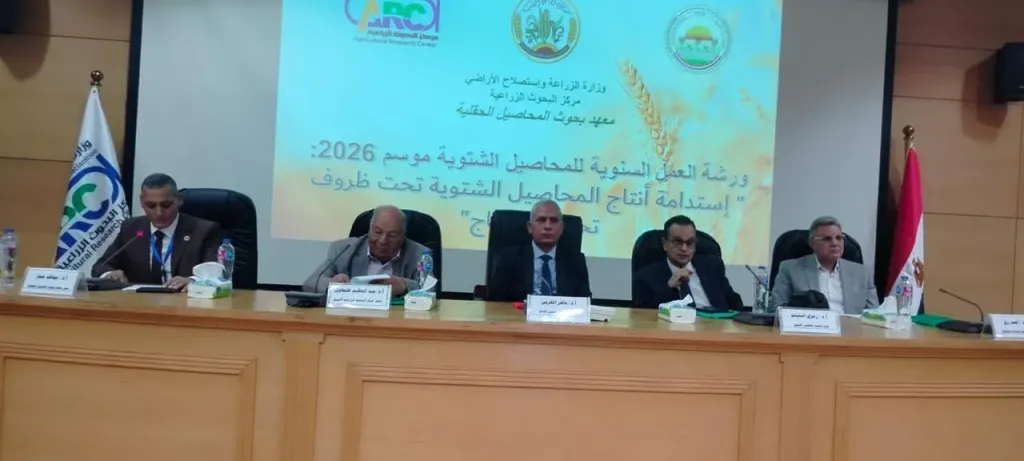 «البحوث الزراعية» ينظم ورشة عمل لمناقشة نتائج البرامج البحثية للموسم الزراعي الشتوي السابق