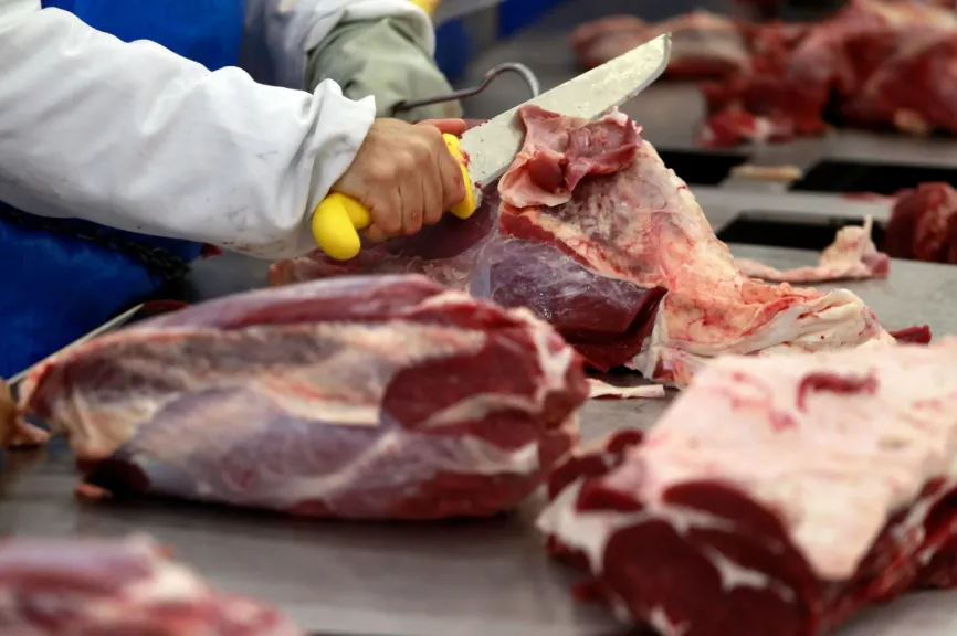 175 طنًا من اللحوم ومنتجاتها المخالفة.. ماذا يحدث في الأسواق قبل أن تصل إلى مائدة المصريين؟