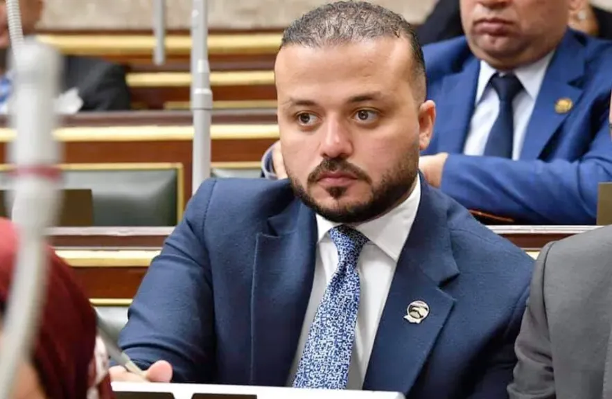 محمد الجارحي رئيسًا لـ«المشروعات».. والعمدة وبركات وكيلين