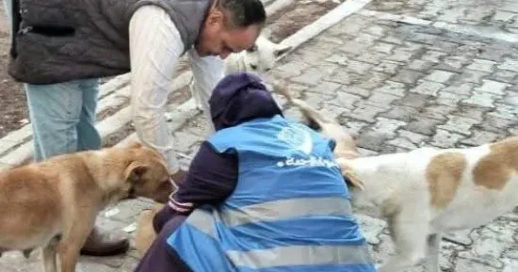 وزارة الزراعة: توفير 200 ألف جرعة لقاح ضد السعار بالمجان