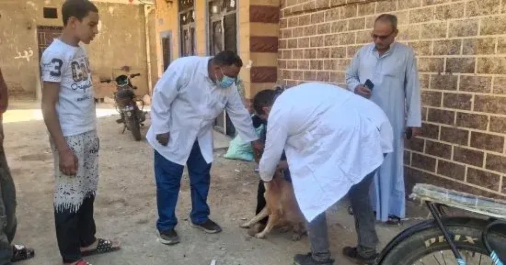 محافظ سوهاج يوجه بالتعامل الفوري مع واقعة تعرض 11 شخصاً لعقر كلب بساقلتة
