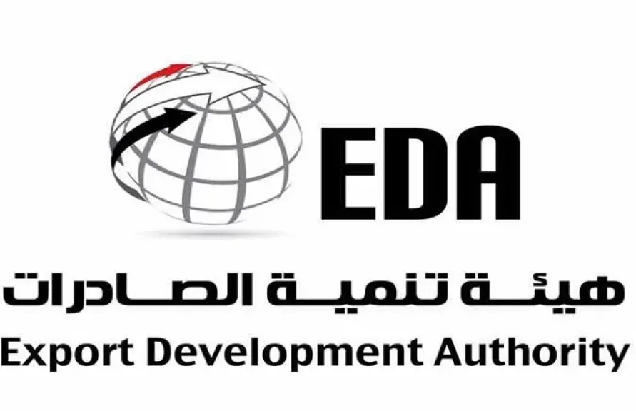 تنمية الصادرات: 206 فرص تجارية ودعم مكثف للشركات المصرية خلال سبتمبر الماضي