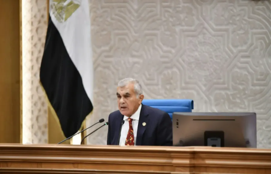 محمد كمال يفوز برئاسة ”خارجية الشيوخ” في دور الانعقاد الثانى