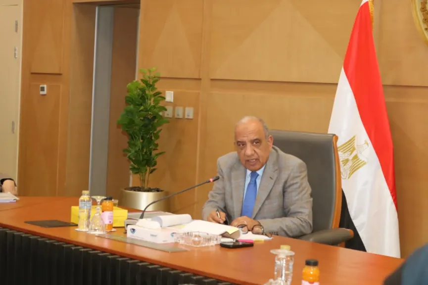 «الكهرباء»: قيادات جديدة للشركة القابضة لكهرباء مصر