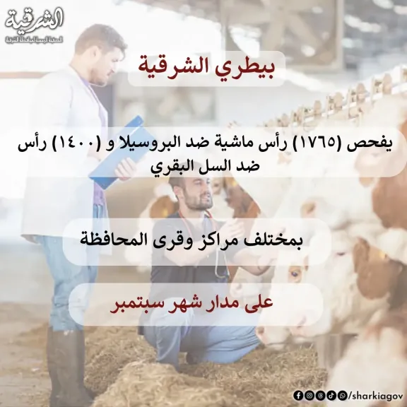 بيطري الشرقية: فحص 3165رأس ماشية ضد البروسيلا  والسل البقرى