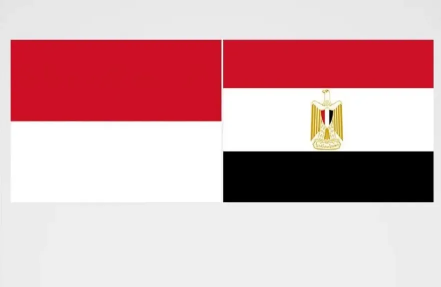 مصر وأندونيسيا.. تطابق في وجهات النظر تجاه العديد من القضايا الإقليمية والدولية