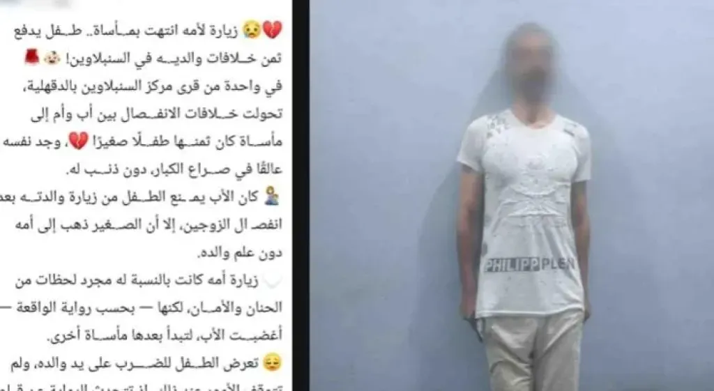 ضبط مزارع تعدى على نجله بالضرب بسبب زيارة والدته في الدقهلية