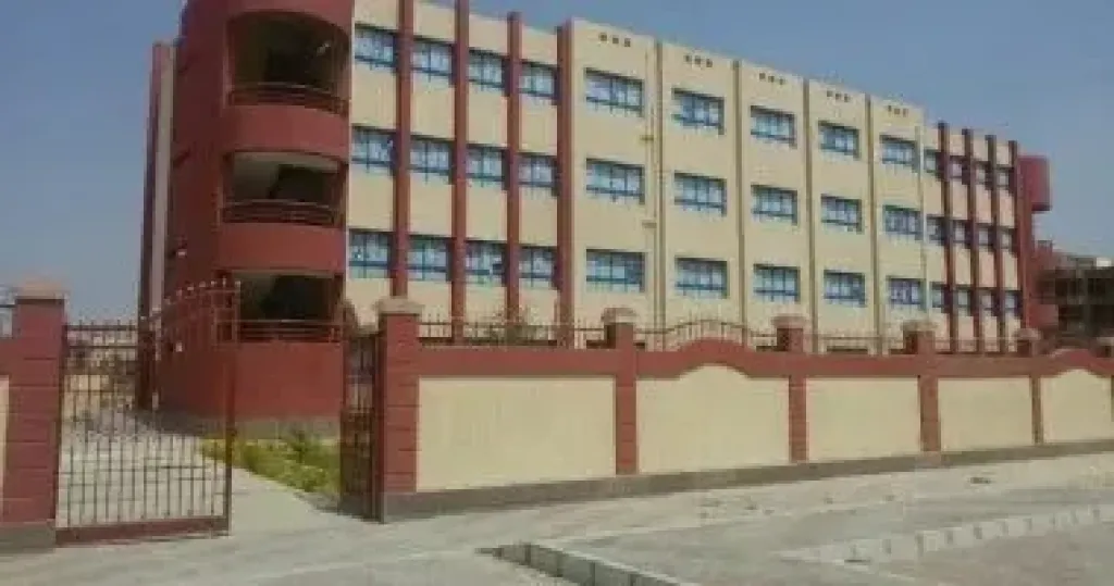 إذاعة اليابان: المدارس المصرية اليابانية نافذة للتواصل الثقافى مع طوكيو