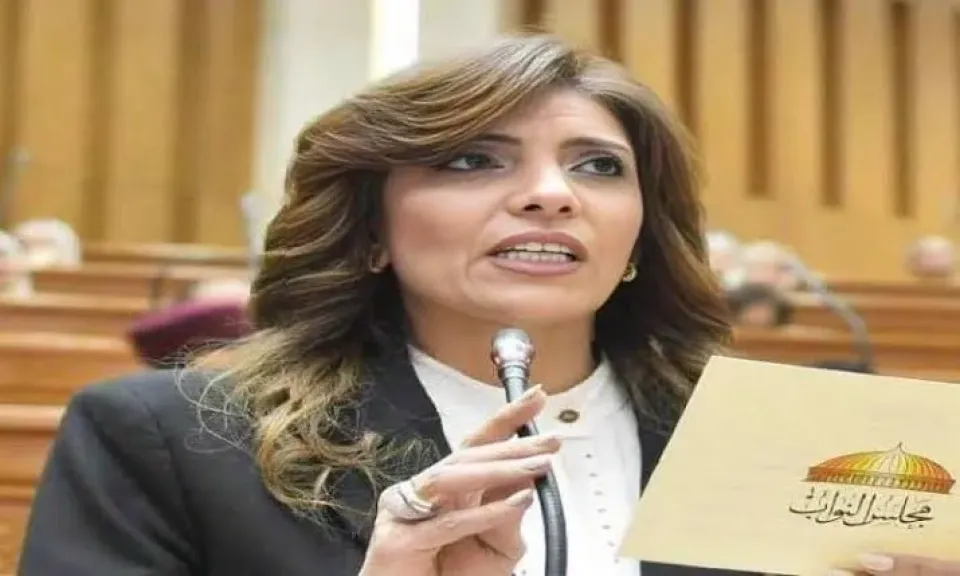 النائبة رانيا الشيمي: مصر تسابق الزمن لتأمين واردات خردة المعادن الأوروبية وحماية الصناعة المحلية