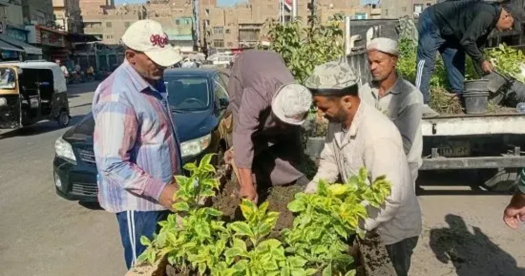 زراعة أحواض الزهور بشارع العامل الأول فى إمبابة ضمن مبادرة اتحضر للأخضر