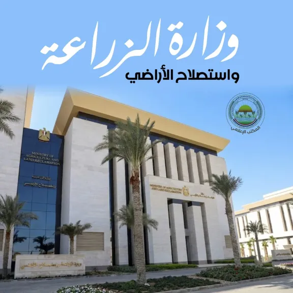 ”الزراعة” تعلن الانتهاء من حصاد 60% من محصول الأرز وتدوير 610 ألف طن قش لمواجهة ”السحابة السوداء”