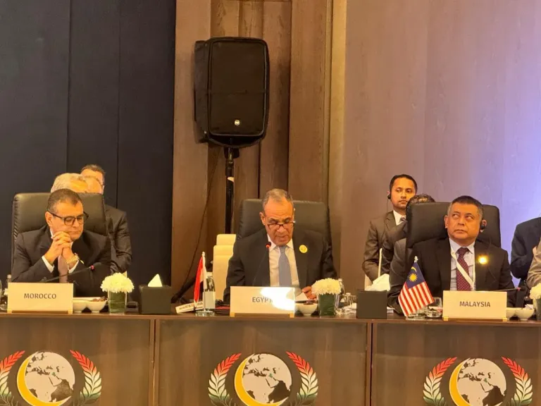 وزير الخارجية يلقي كلمة مصر في اجتماعات الدورة الـ52 لمجلس وزراء خارجية منظمة التعاون الإسلامي|صور