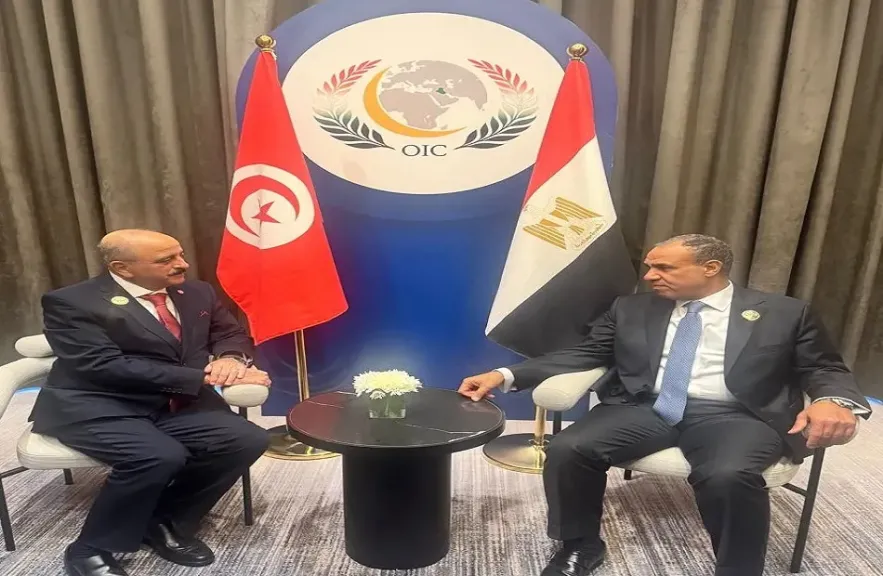 وزيرا خارجية مصر وتونس يؤكدان اعتزازهما بخصوصية العلاقات المصرية التونسية
