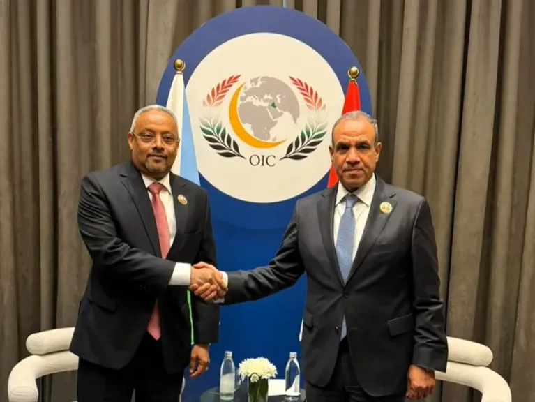 وزير الخارجية ونظيره الجيبوتي يبحثان سبل تعزيز العلاقات الثنائية والتطورات الإقليمية
