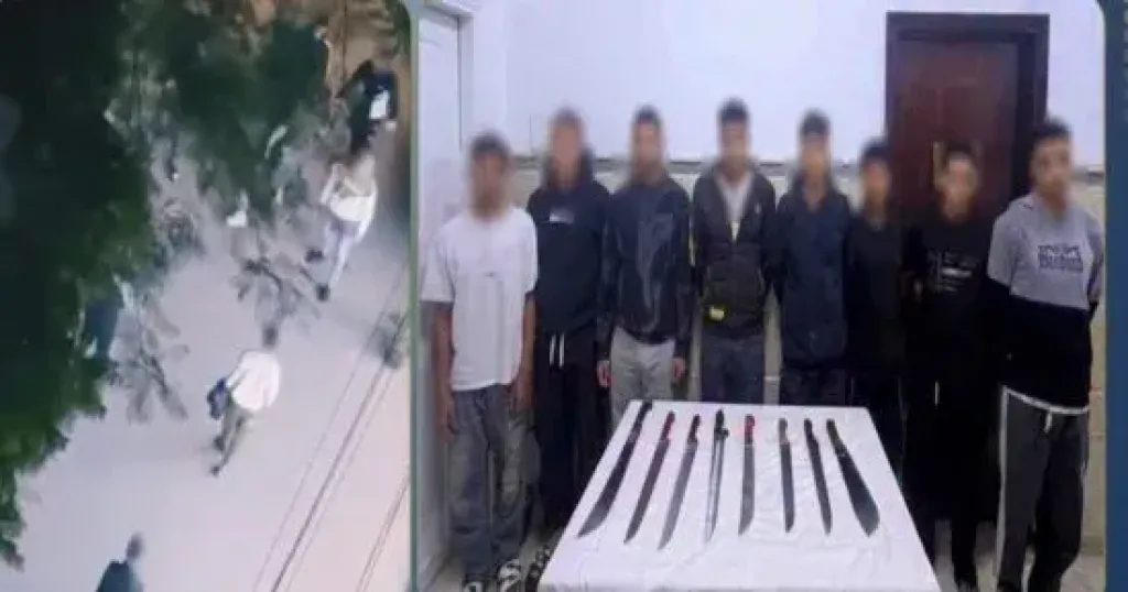 الداخلية تكشف ملابسات فيديو مشاجرة بالأسلحة البيضاء فى الزقازيق وتضبط طرفيها