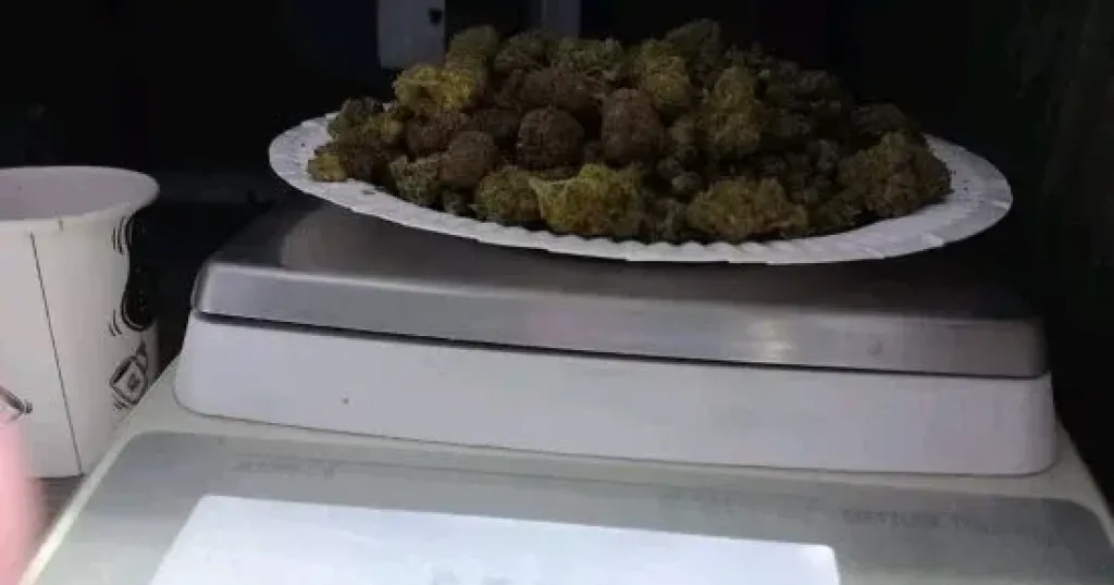 جمارك مطار الغردقة تحبط محاولة تهريب كمية من مخدر الماريجوانا