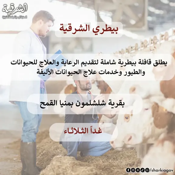 بيطري الشرقية :غداانطلاق  قافلة بيطرية شاملة بقرية شلشلمون بمنيا القمح