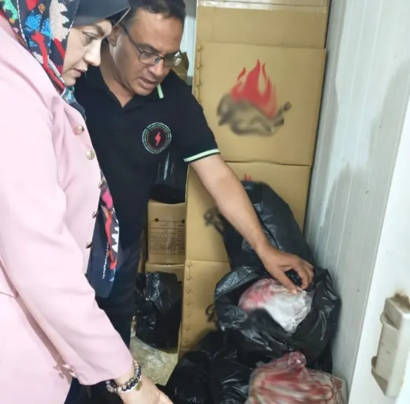 بيطري الشرقية يضبط طنًا و440 كجم دواجن فاسدة