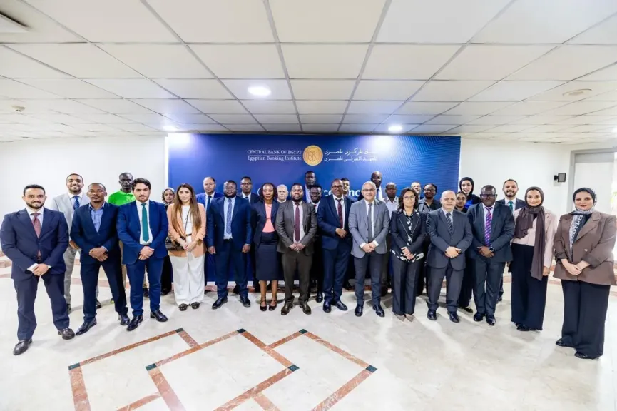 البنك المركزي يدعم قدرات البنوك المركزية بدول الكوميسا في ” دمج المخاطر المناخية في اختبارات الضغوط الجزئية والكلية”