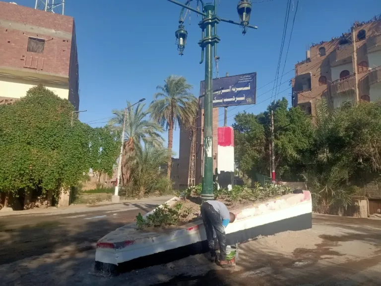 محافظ أسيوط: أعمال تجميل وتشجير ورفع كفاءة الشوارع بمدخل قرية الزاوية ضمن مبادرة