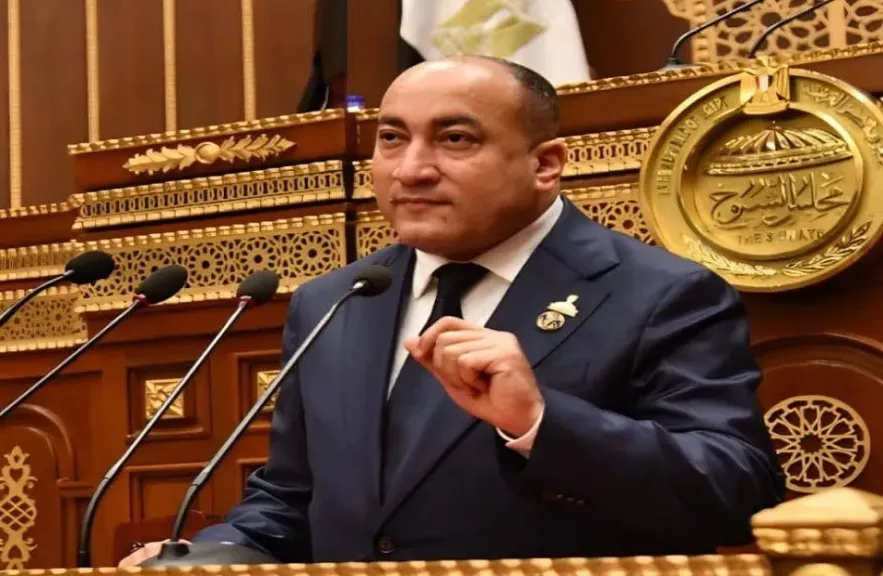 النائب عمرو رشاد: «مخرجات منتدى مصر» رسالة من الرئيس بأن المواطن المصري هو الأهم