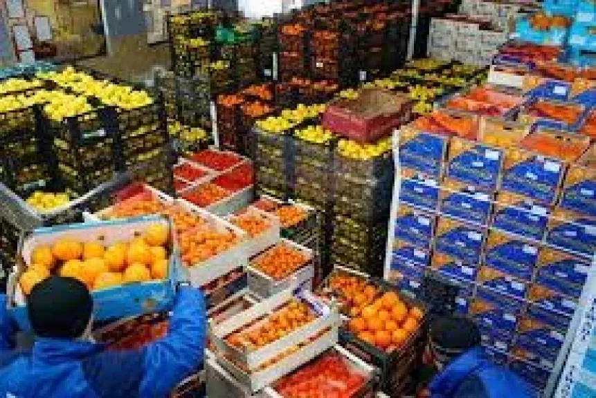 درع الأمان التصديري: كيف تحمي ”المكافحة الحيوية” الحاصلات المصرية من شروط الأسواق العالمية؟