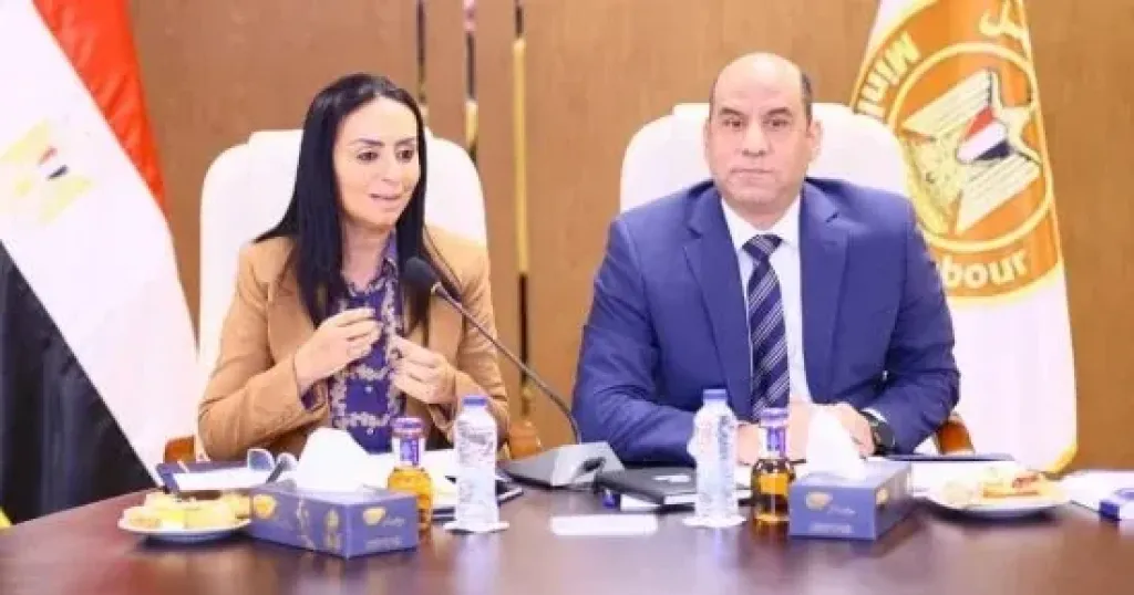 وزيرا العمل والتضامن يبحثان تقديم حوافز لتشجيع العمالة غير المنتظمة