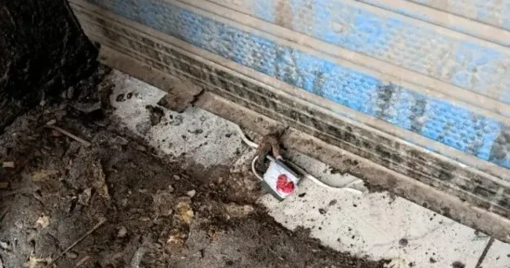 غلق وتشميع منشأة غذائية مخالفة بالبدرشين لعدم الالتزام باشتراطات النظافة