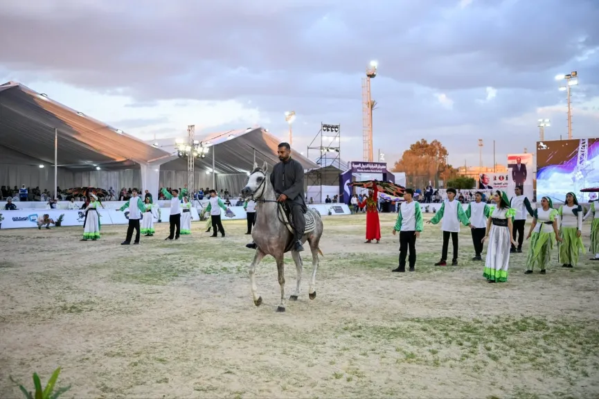 بمشاركة خمسة دول محافظ الشرقية يفتتح مهرجان الخيول العربية في دورته الثلاثين بنادى الصفوة الرياضى