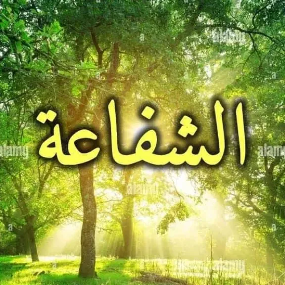 سحر قابيل المحامية تكتب : معنى الشفاعة