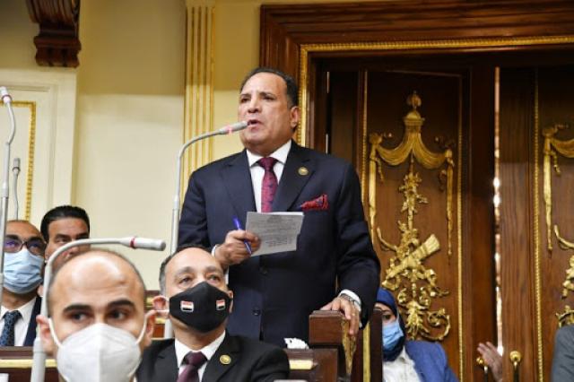 النائب محمد صلاح أبو هميلة