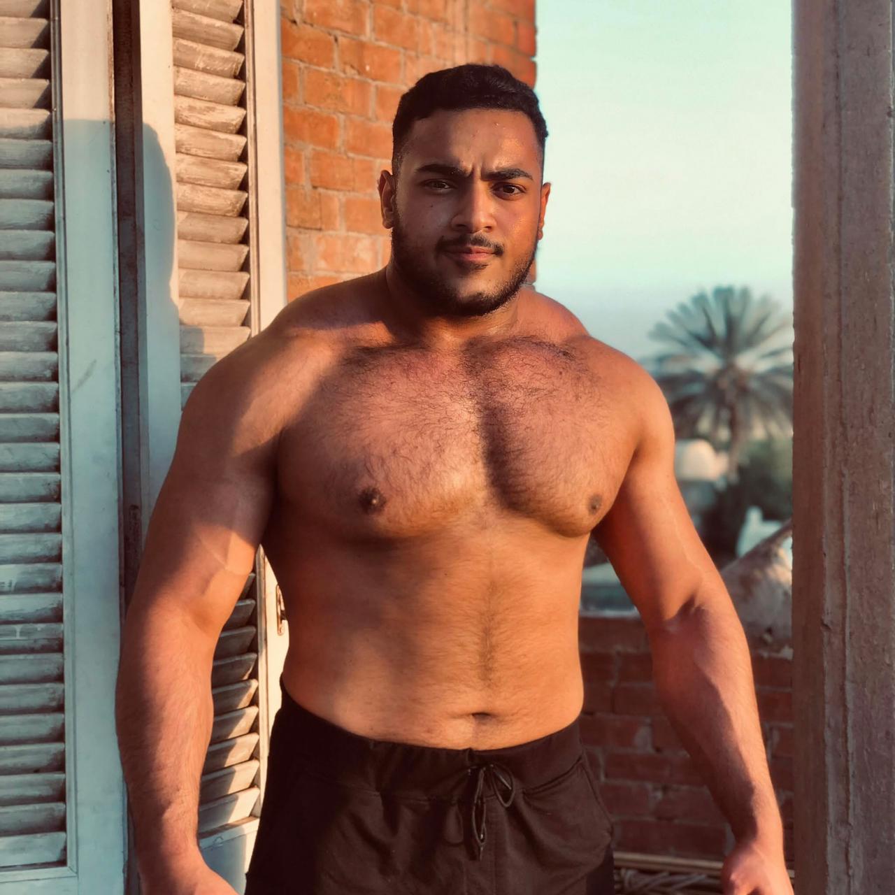 أحمد نجيب 
